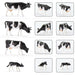 36PCS HO Scale Cows & Shepherd 1/87 (ABS) AN8720 - upgraderc