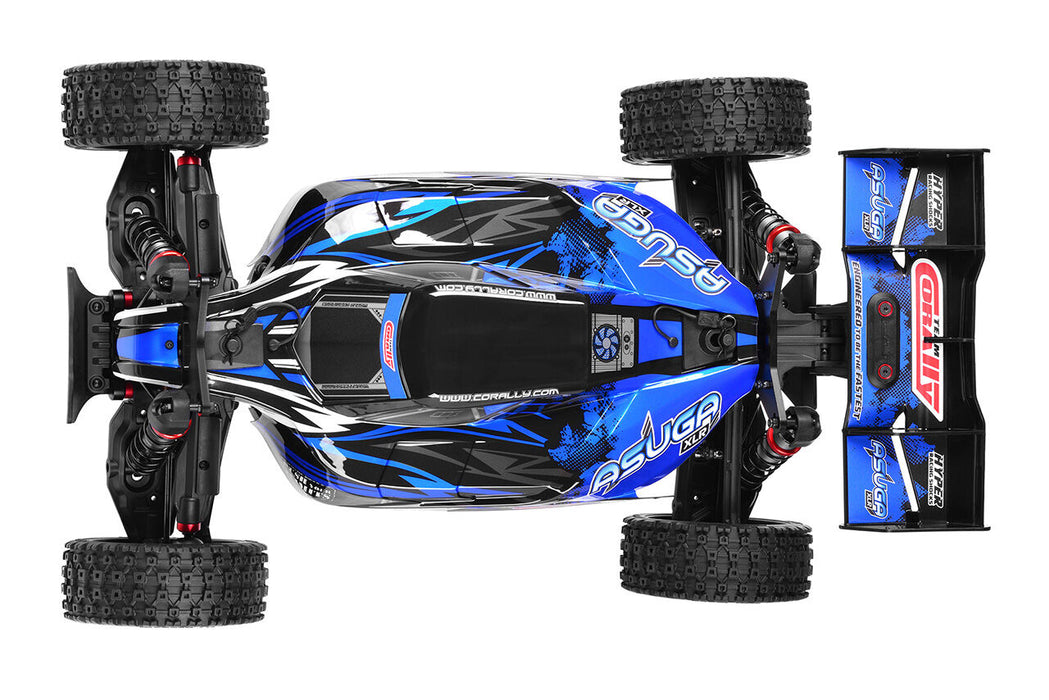 Team Corally ASUGA XLR 6S 1/8 Buggy PNP (Blauw)