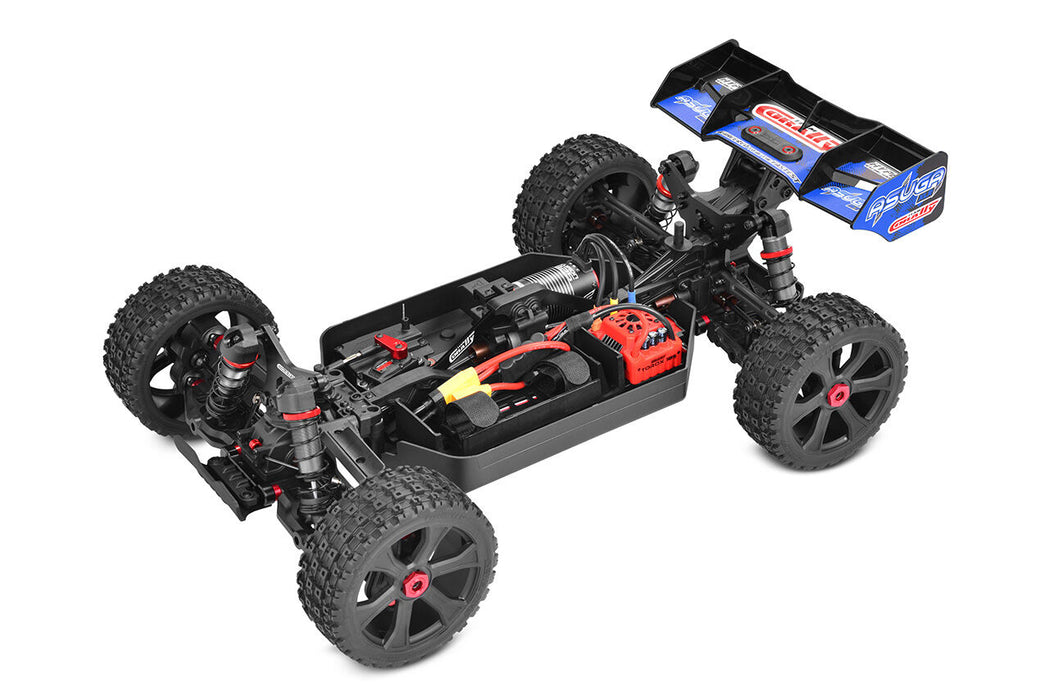 Team Corally ASUGA XLR 6S 1/8 Buggy PNP (Blauw)