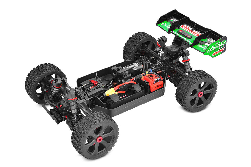 Team Corally ASUGA XLR 6S 1/8 Buggy PNP (Groente)