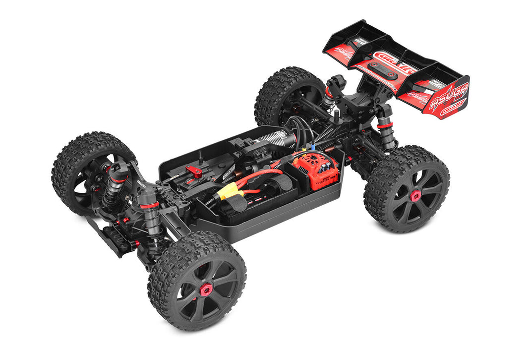 Team Corally ASUGA XLR 6S 1/8 Buggy PNP (Rood)