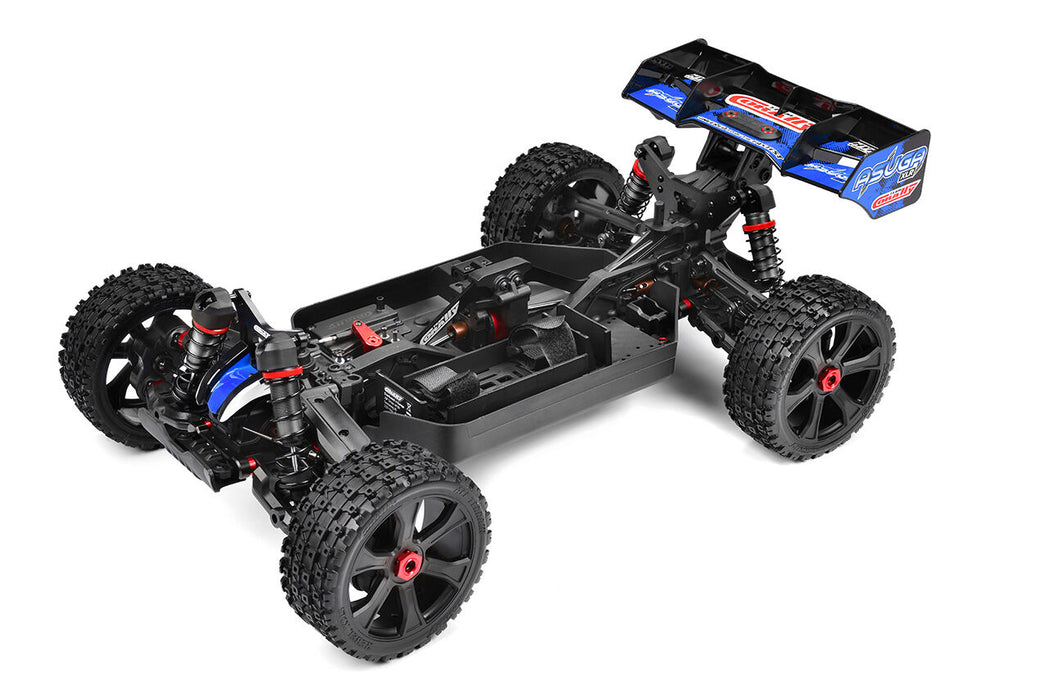 Team Corally ASUGA XLR 6S 1/8 Buggy Roller (Blauw)